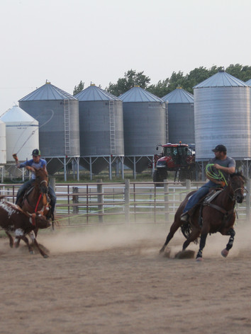 2017 roping 028.jpeg