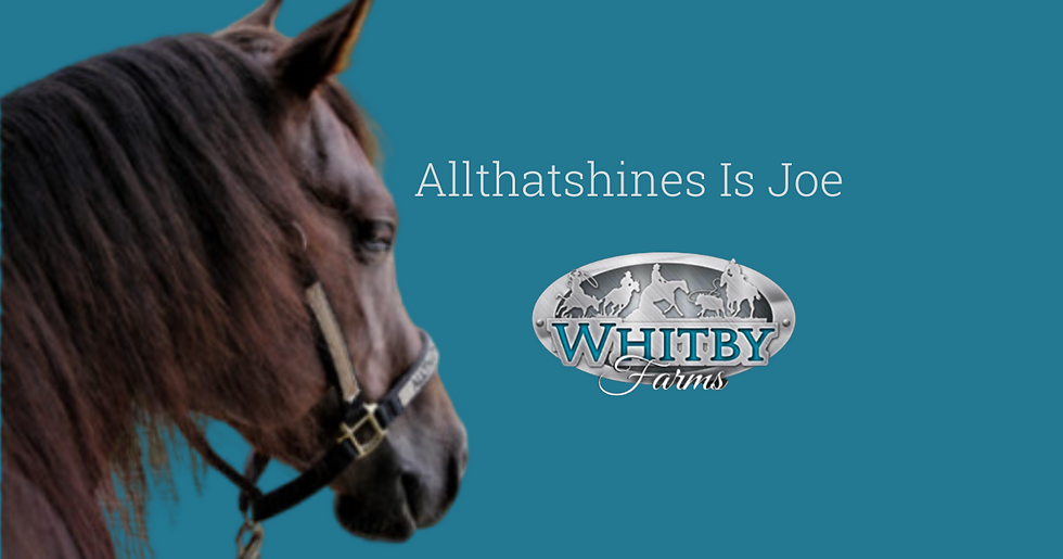 Allthatshines Is Joe (2).png